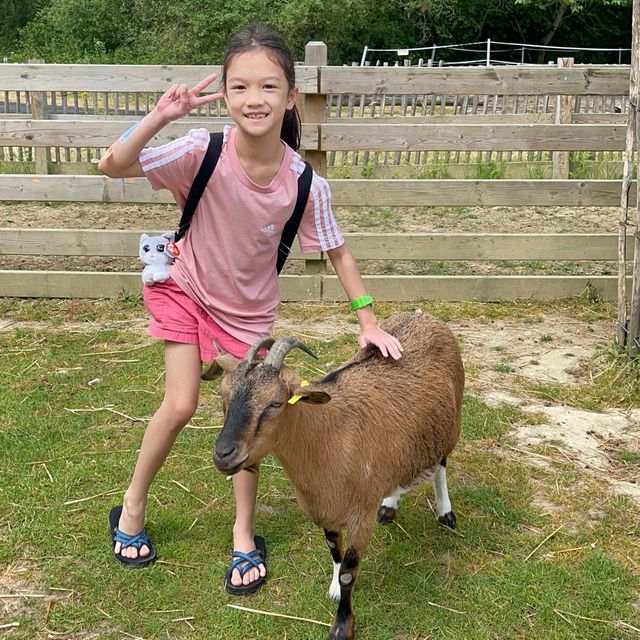 BelleVie Farm 🪿🦆🐦‍⬛