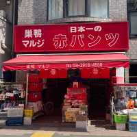 『巣鴨地蔵通り商店街 』IN巣鴨駅🚉