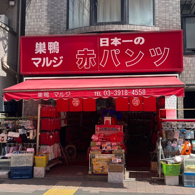 『巣鴨地蔵通り商店街 』IN巣鴨駅🚉