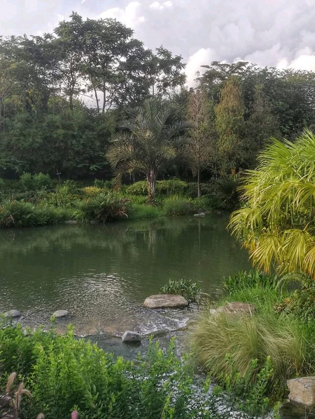 Kingfisher Lake At Gardens By The Bay