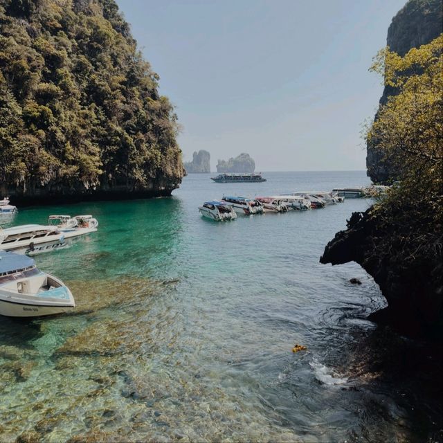 Maya Bay, Phi Phi Island