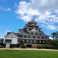 外牆為黑色岡山城🏯