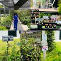 Nottyjourney เจอศูนย์ศึกษาการพัฒนาห้วยทราย