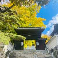 【長野県/高さ40mの夫婦銀杏が美しく紅葉を始めた佛法紹隆寺】