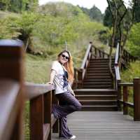 Alishan National Forest Recreation Area