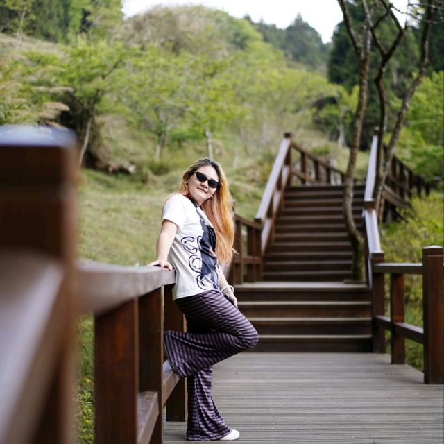 Alishan National Forest Recreation Area