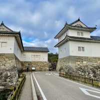 Hikone Heritage Hub: Unveiling History
