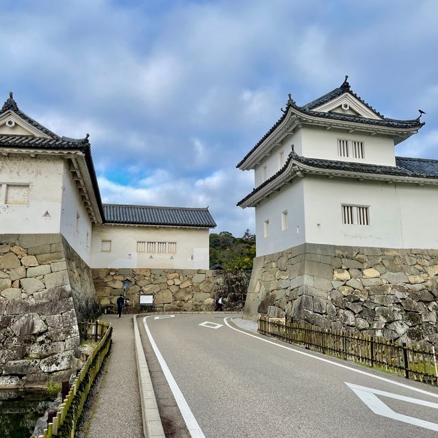 Hikone Heritage Hub: Unveiling History