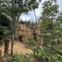 ผาช่อ Phachor (Mae Wang National Park) เชียงใหม่