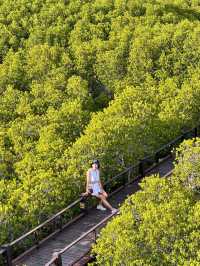 วนอุทยาน​ปราณบุรี​ แนบชิดธรรมชาติ​