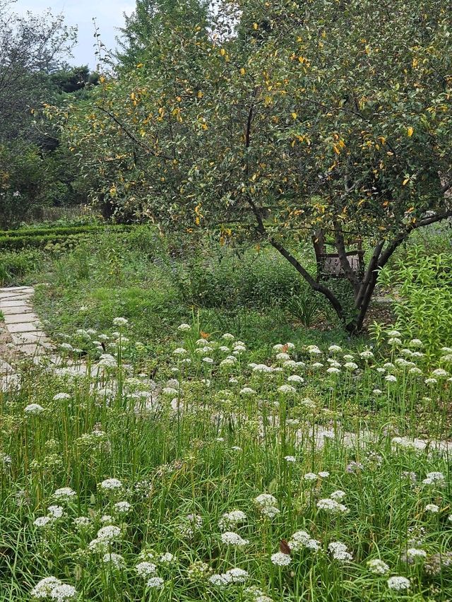 피톤치드 가득한 포천 국립수목원🌳