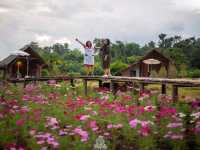 ไร่ภูผาหมวก