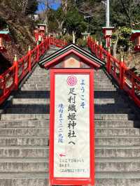 【足利】カラフルな七色の鳥居がある足利織姫神社