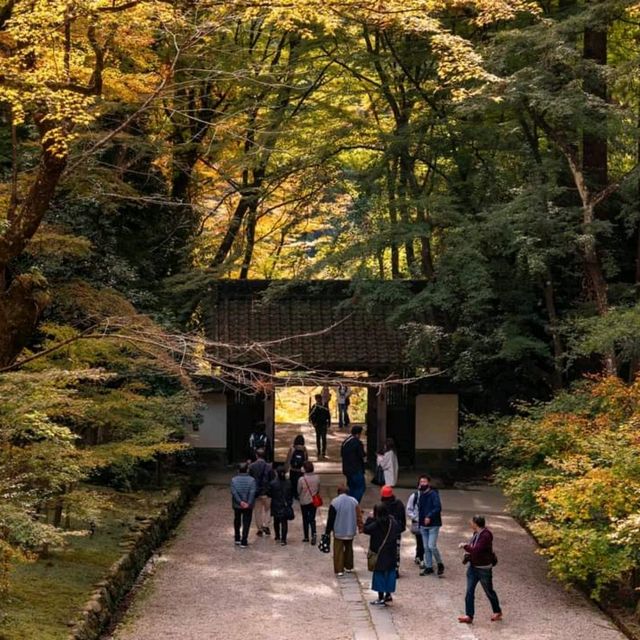  Korankei จุดชมใบไม้เปลี่ยนสีที่สวยมากในญี่ปุ่น