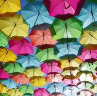 カラフルで壮観なポルトガルの傘祭り「Umbrella Sky Project」は一見の価値あり☂️