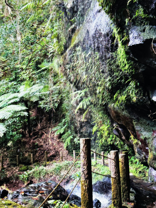 【絶景】滝を裏側から見られる珍しいスポット🐉