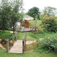  The Birder’s Lodge 