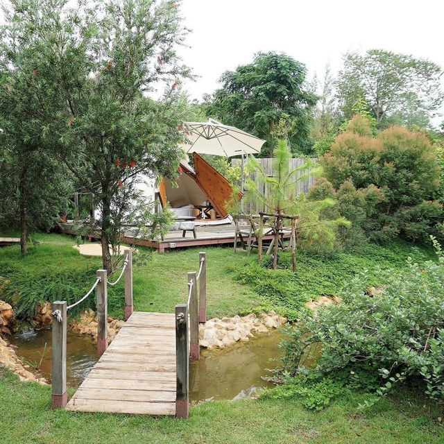 The Birder’s Lodge 