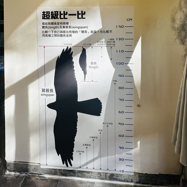 塔塔加遊客中心