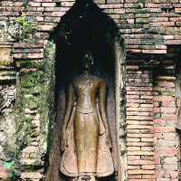 วัดป่าสัก  จ.เชียงราย