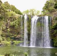 Whangarei Wonders: Nature's Symphony