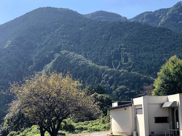 Hoshino Archaeological site