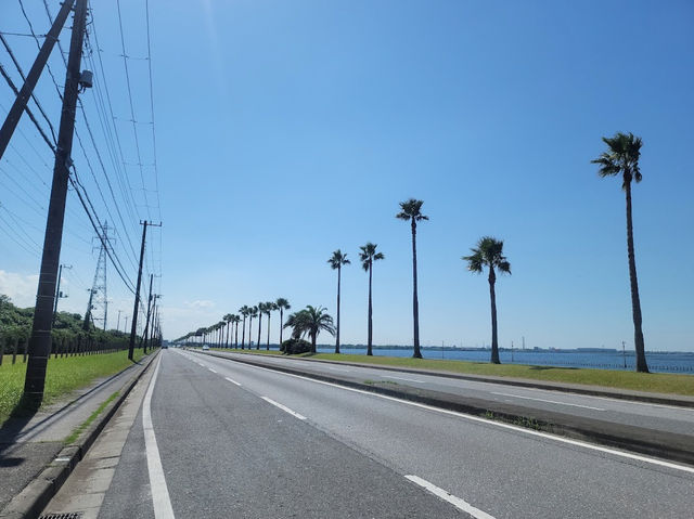 Sodegaura Seaside Park 