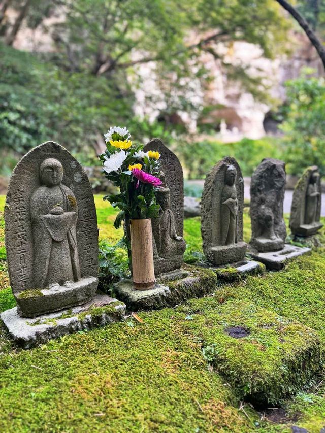 【神奈川】京都じゃないよ！心安らぐ竹の庭🎋
