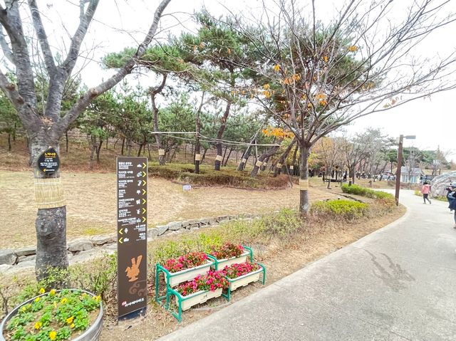 南韓釜山 奇幻故事主題樂園 金海加耶主題公園 김해가야테마파크