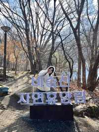 대구 빙벽포토존 겨울여행지