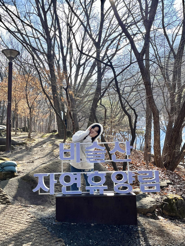 대구 빙벽포토존 겨울여행지