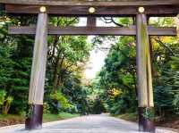 A shrine located in dense forest in the city