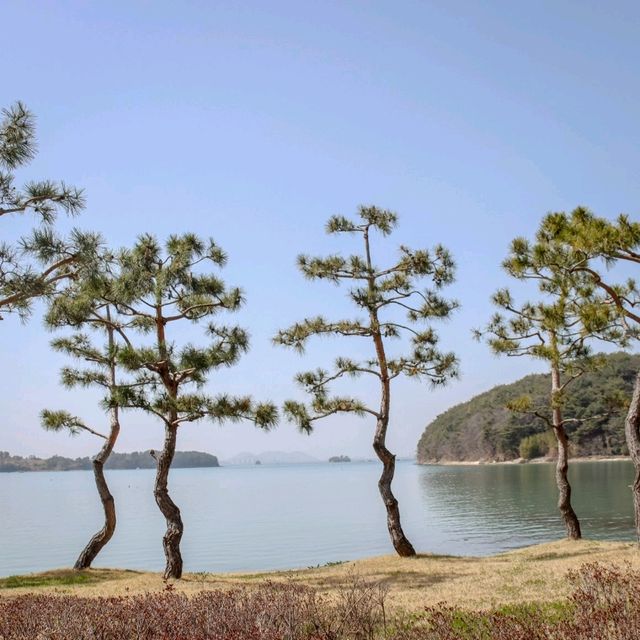 이순신정신의 바다