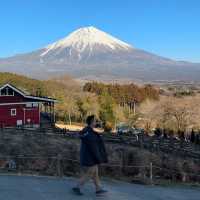 日本富士山｜情侶親子好去處🗻