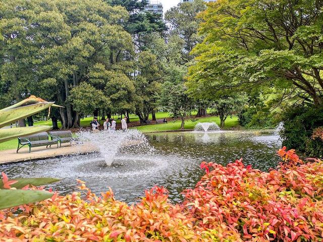 Treasury Gardens