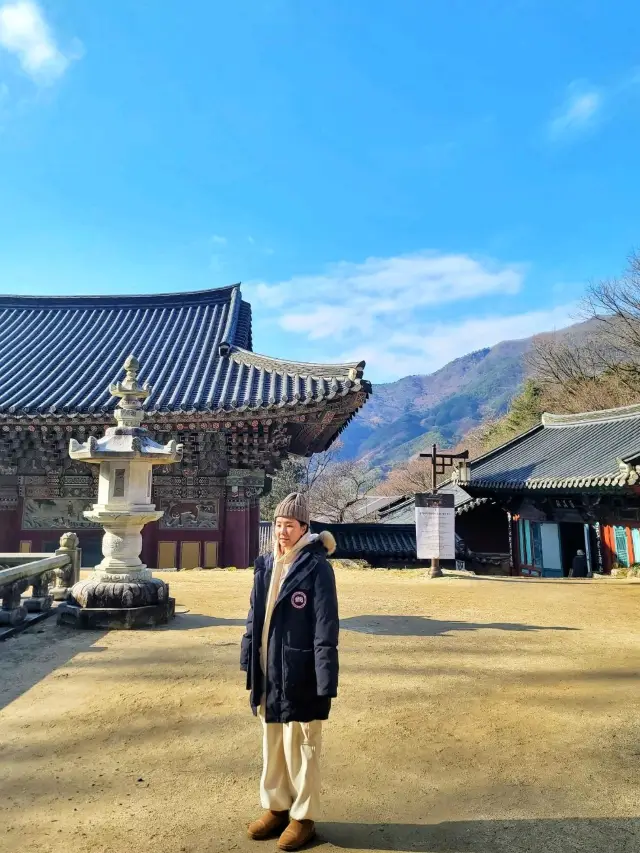 벚꽃시즌이 더 기대되는 하동의 대표여행지💛