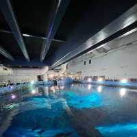 「倫敦海洋生物水族館」：驚嘆景點，深入瞭解海洋生物