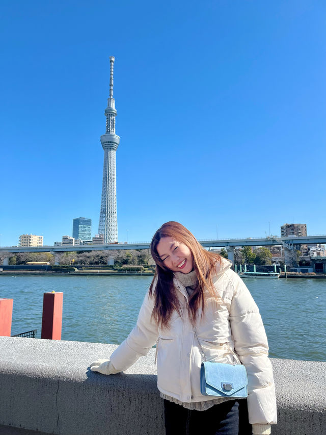 เดินเล่นกินลม ชมซากุระกันค่ะ 🌸🌸🌸