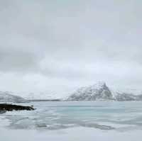 lofoten links