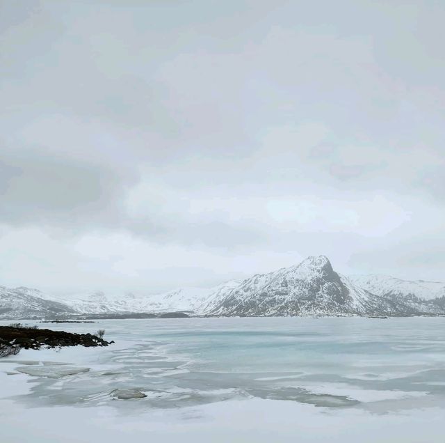 lofoten links