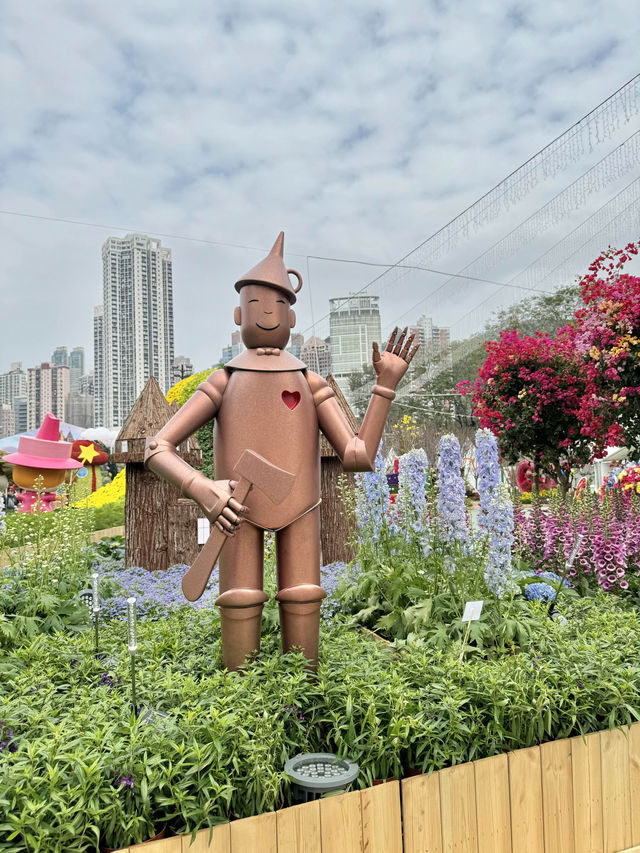 香港也有超美向日葵花海 香港花卉展覽2024