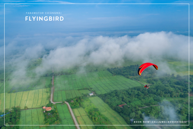 Flying Bird Paramotor Chiangmai