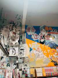 🇯🇵日本仙台探店👣喜久屋書店 仙台店📚