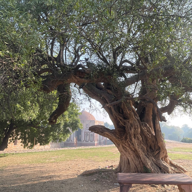 Qutub Minar  in Delhi, India