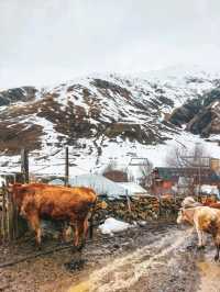 Ushguli, Svaneti, Georgia