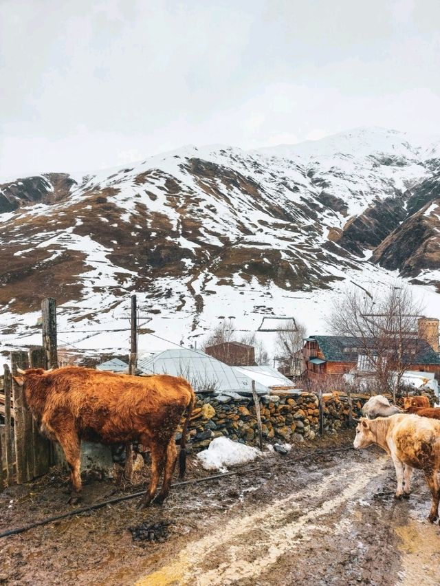 Ushguli, Svaneti, Georgia