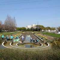 名古屋市の桜名所「荒子川公園」