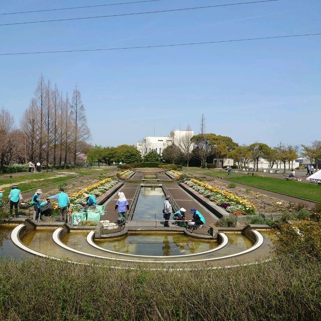 名古屋市の桜名所「荒子川公園」