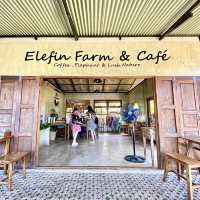 清邁·最值得一去的小眾景點🐘大象咖啡廳🐘