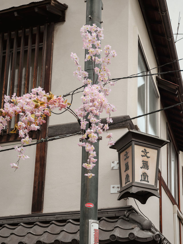 東京｜淺草寺櫻花美景 春日遊賞不可錯過🌸